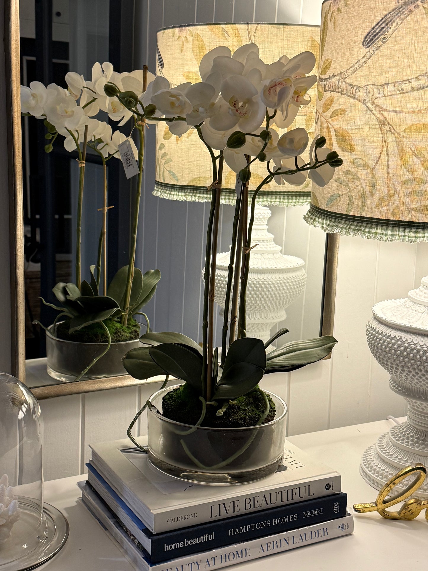 The Potted Orchid